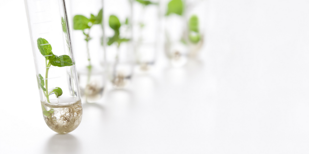 Microbiome in Practice: Assessing OTC Options